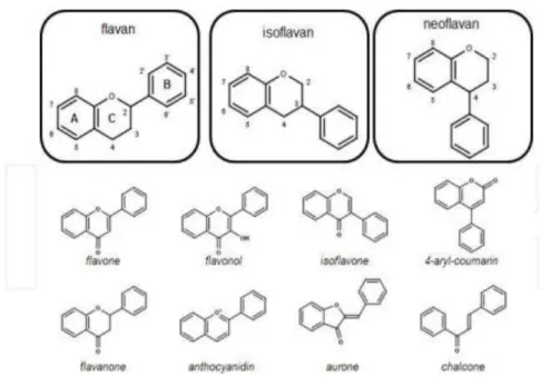 Gambar 11. Struktur kimia flavonoid (Pinheiro et al., 2012) 