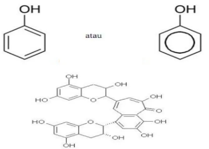 Gambar 12. Struktur kimia polifenol (Cui et al., 2014) 