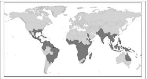 Gambar 1. Penyebaran Aedes aegypti (WHO, 2011) 