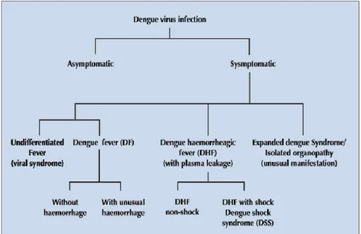Gambar 3. Klasifikasi De mam  Berdarah Dengue (WHO, 2011) 