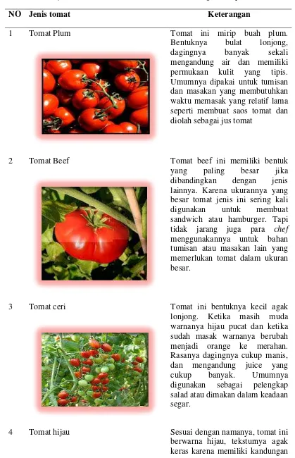 Tabel 1. Jenis-jenis tomat berdasarkan bentuk buah dan kegunaannya 