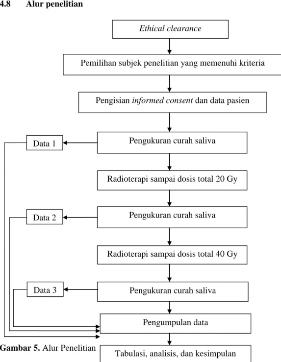 Gambar 5. Alur Penelitian 