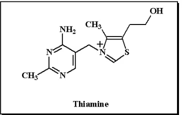 Gambar 1. Struktur Kimia Tiamin 