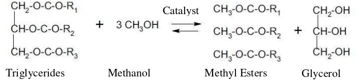 Gambar 2.2 Skema Reaksi Transesterifikasi dengan Menggunakan Metanol [7] 