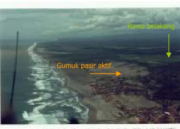 Gambar 65. Lokasi Gumuk Pasir Aktif dan Rawa Belakang, Sungai  Opak, Depok Bantul (Sumber : Barandi, 2003) 