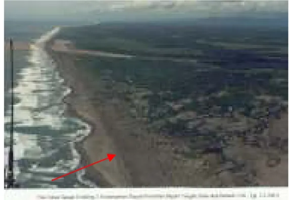 Gambar 64 . Gisik Pantai Parangtritis (Sumber : Barandi, 2003)  2.  Swale (depresi antar beting gisik) 