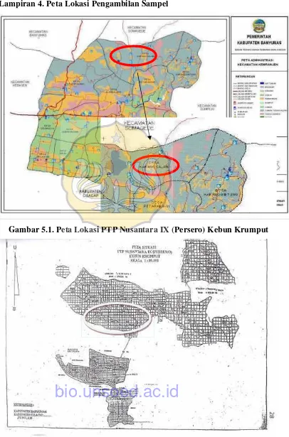 Gambar 5.1. Peta Lokasi PTP Nusantara IX (Persero) Kebun Krumput