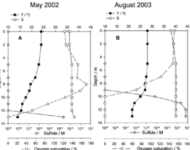 Fig.  4.  (A)  Temporal  distribution  of  diatoms  and  dino- dino-flagellates  in  Rogoznica  lake  in  the  January  2000  to  December 2004 period 