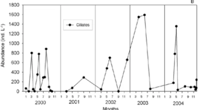 Fig. 4. (B) Temporal distribution of Chaetoceros curvisetus   and Acartia italica in Rogoznica Lake in the January  2000 to December 2004 period