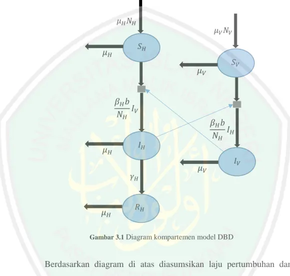 Gambar 3.1  Diagram kompartemen model DBD
