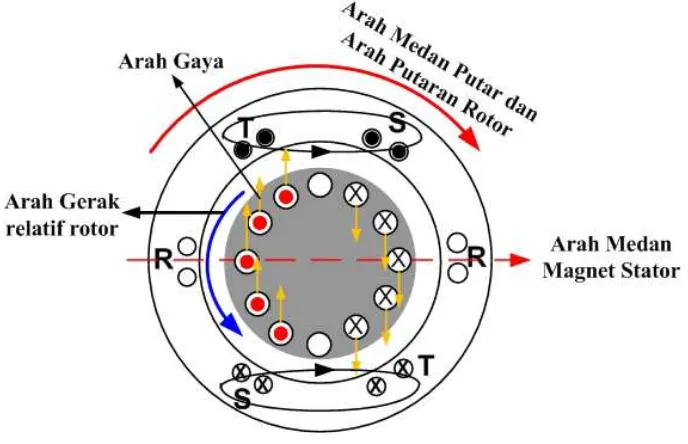 Gambar 2.9. Arah Tegangan Induksi dan Arah Gaya pada rotor 