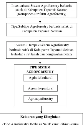 Gambar  1.  Tahapan   penelitian  kajian  sistem  agroforestry  berbasis   salak  di     Kabupaten Tapanuli Selatan 