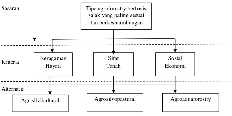 Gambar 2.    Struktur hierarki tipe agroforestry berbasis salak yang paling sesuai dan                        berkesinambungan 
