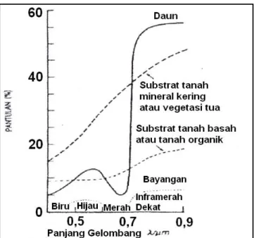 Gambar 7. Karakteristik pantulan komponen vegetasi (Lo, 1996) 