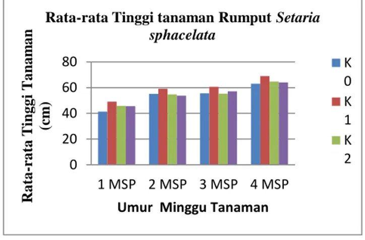 Tabel 6. Uji BNT 5% Pertumbuhan Tinggi Tanaman Rumput  