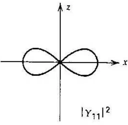 Gambar 4.18. Plot kuadrat amplitudoY(2, 2) dalam diagram polar. 