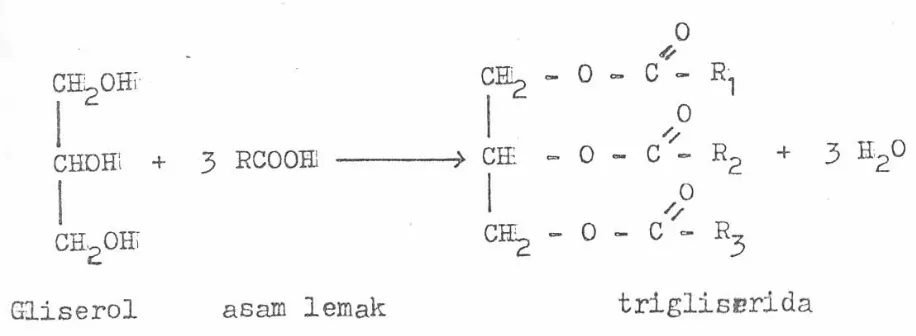 gambar 2.1. Reaksi Trigliserida 