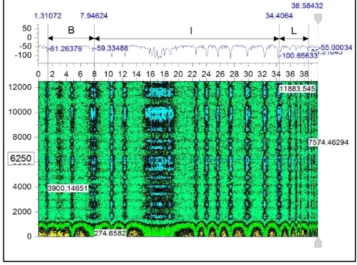 Gambar 7.  Hasil analisa spektogram STFT diplot dalam profil kontur, untuk memudahkan penghitungan batasan fase BIL