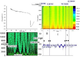 Gambar 2.1 Pengolahan sinyal STFT. 