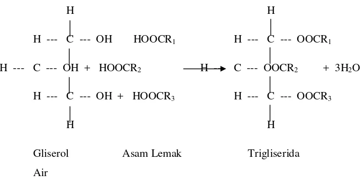 Gambar 2.1 Reaksi molekul pembentukan minyak adalah sebagai berikut : 