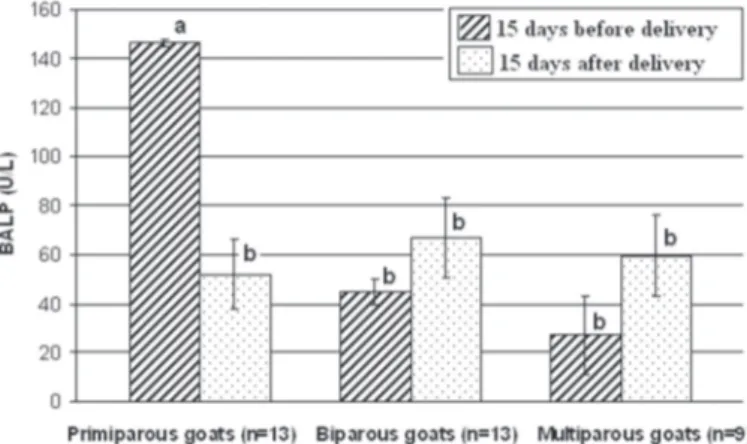 Fig. 1. Mean values ( ± SE) of BALP activity (U/L) measured 15 days before and 15 days after  delivery in three groups of goats
