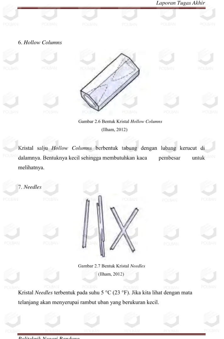 Gambar 2.7 Bentuk Kristal Needles  (Ilham, 2012) 