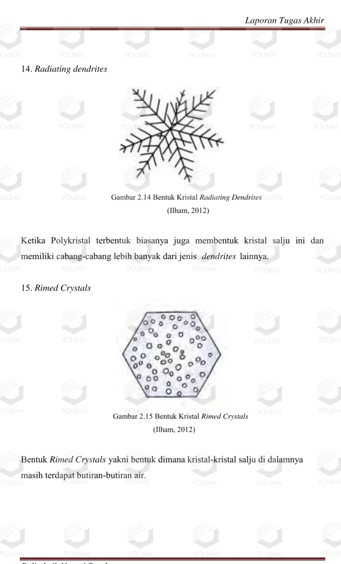 Gambar 2.15 Bentuk Kristal Rimed Crystals      (Ilham, 2012) 