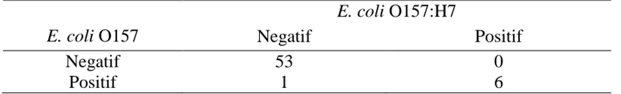 Tabel 3. Uji Mc Nemar Isolat E. coli O157 terhadap E. coli O157:H7 