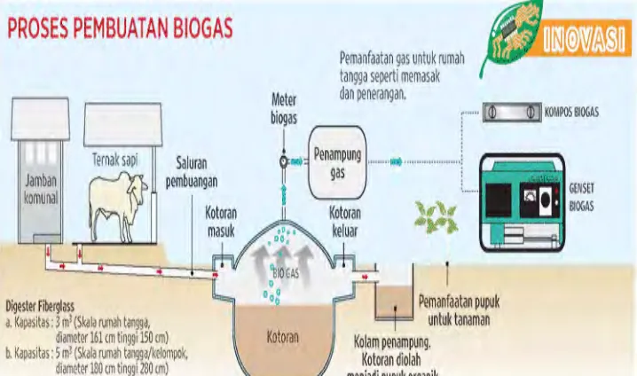Gambar 1.  Skema Pemanfaatan Biogas dari Kotoran Sapi  Pada  gambar  di  atas  dapat  dilihat  skema  pemanfaatan  biogas dari kotoran sapi