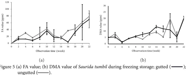 Figure 5a menunjukkan bahwa pada  awal penyimpanan FA pada ikan beloso  belum terdeteksi sama sekali untuk kedua  perlakuan