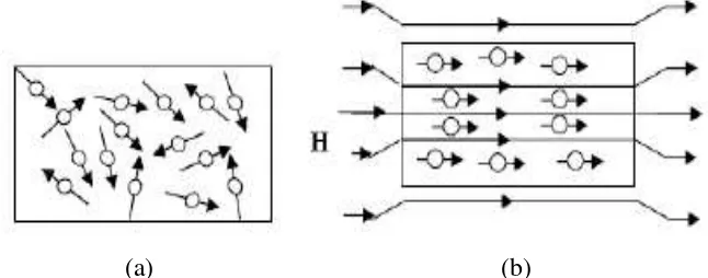 Gambar 2.1. Arah Partikel Pada Magnet, (a) Arah partikel acak (Isotropi). 