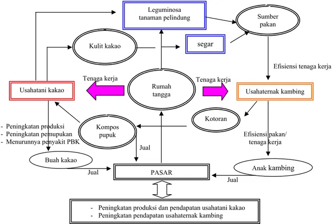 Gambar 3. Diagram alir input output model usahatani integrasi kakao-kambing  Efisiensi pakan/ 