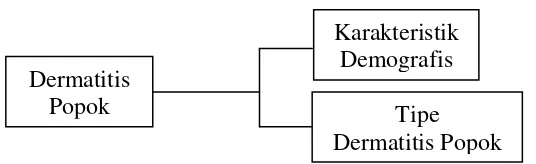 Gambar 2.3. Kerangka konsep 