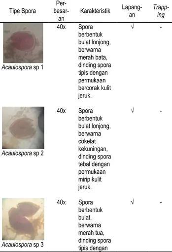 Tabel 4. Jumlah tipe spora setiap genus dari lapangan dan  hasil trapping 