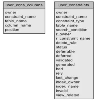 Gambar 2. Metadata untuk Identifikasi Constraint pada Oracle 