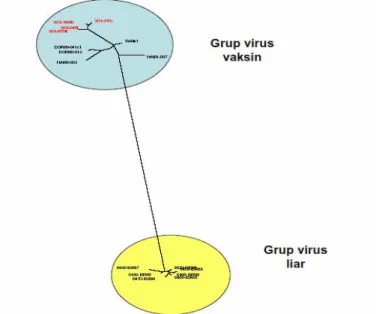Gambar 5. Hasil analisa sekuen VP1 virus polio dengan menggunakan CLUSTAL W. Virus penyebab  wabah polio di Filipina ditandai dengan warna merah
