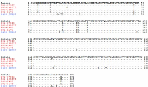 Gambar 7. Hasil analisa mutasi asam amino protein VP1 dari virus polio penyebab wabah (merah),  virus polio vaksin (hitam) dan virus polio liar (biru)