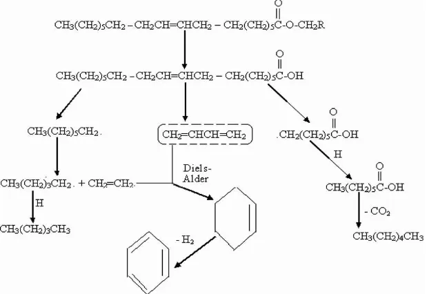 Gambar 2.17. Mekanisme dekomposisi termal trigliserida (Balat, M. 2008).   
