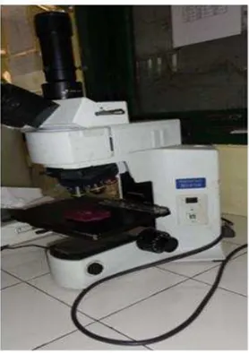 Gambar 3.1 Mikroskop Olympus BX41M  