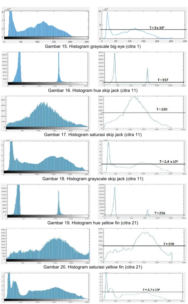 Gambar 16. Histogram hue skip jack (citra 11) 