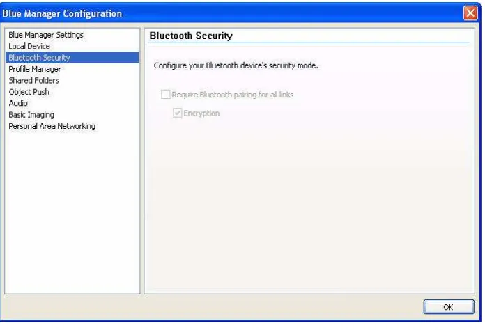 Figure 3-3.  Blue Manager Configuration - Bluetooth Security