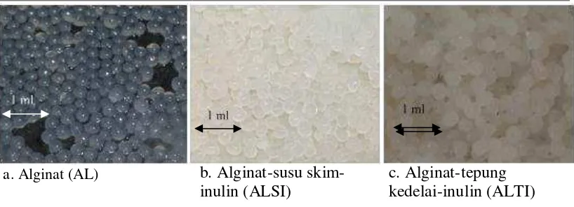 Gambar 2. Kapsul (beads) sinbiotik BAL AK2 hasil enkapsulasi metode ekstrusi  