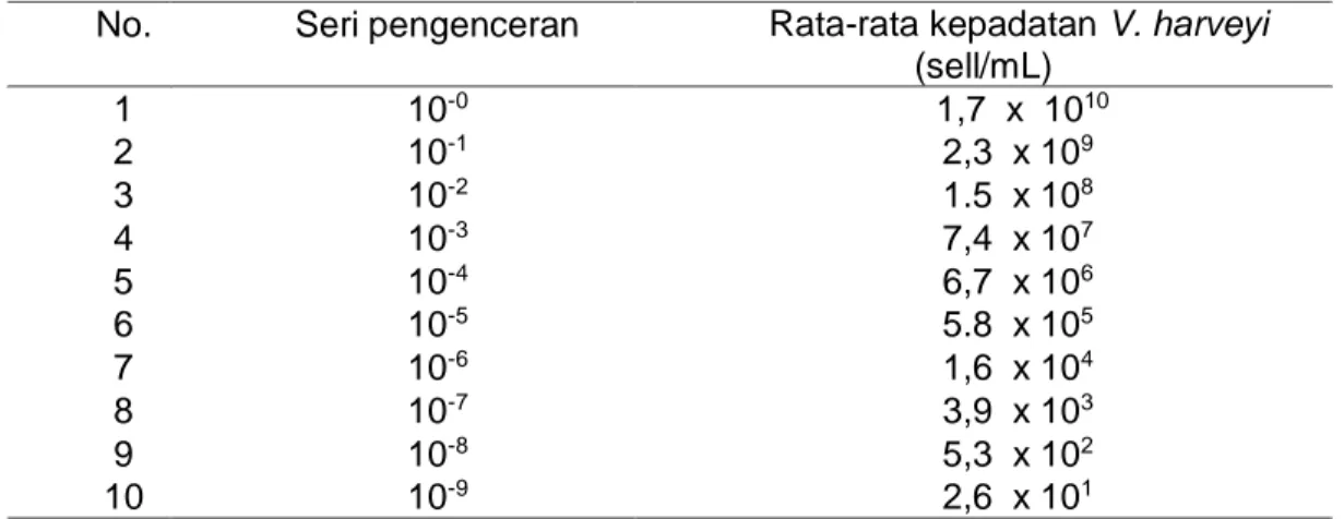Tabel  1.  Rata-rata  kepadatan  V.  harveyi  dari  setiap  seri  pengenceran  yang   dinayatakan dalam sell/ml 