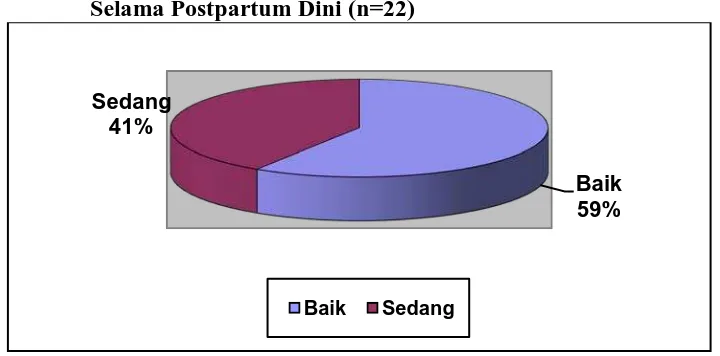 Tabel 4. Distribusi dan Persentase Hasil Observasi Kemampuan Ibu  Merawat Bayi Baru Lahir Selama Postpartum Dini (n=22) 