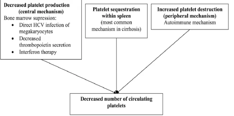 Gambar 2.2 Mekanisme trombositopenia pada hepatitis C kronik 