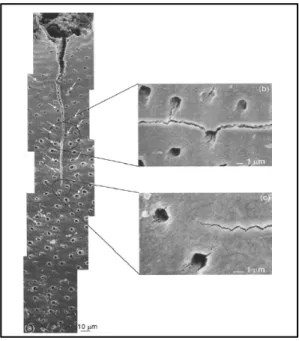 Gambar  2.4    Hubungan  Pola  Crack  terhadap  Mikrostruktur  Dentin.  (a): hubungan interaksi  initial crack dengan perambatan crack, (b) dan (c)  gambaran crack yang terjadi  pada  peritubular  [juga  ditunjukkan oleh  tanda panah putih  pada gambar  (a