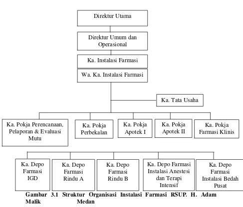 Gambar 3.1 Struktur Organisasi Instalasi Farmasi RSUP. H. Adam 