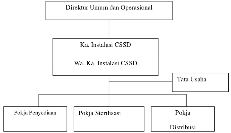 Gambar 3.2  Struktur Organisasi Instalasi CSSD RSUP H. Adam Malik 