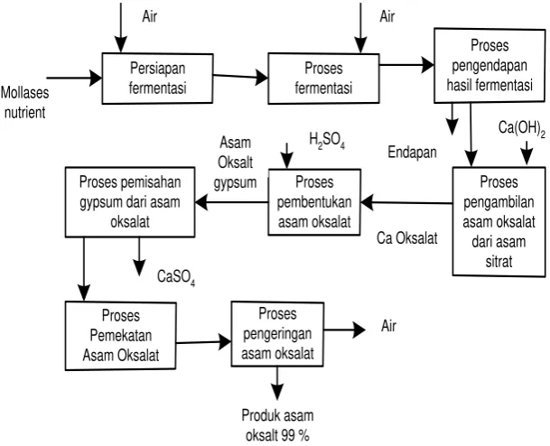 Gambar 2.7. Proses Fermentasi Glukosa 