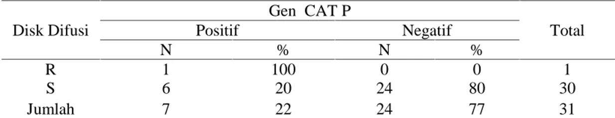 Tabel 1. Tabel ekpresi mutasi gen CAT P pada Salmonela typhii yang resisten dan sensitif Disk Difusi Gen  CAT P TotalPositifNegatif N % N % R 1 100 0 0 1 S 6 20 24 80 30 Jumlah 7 22 24 77 31 PEMBAHASAN